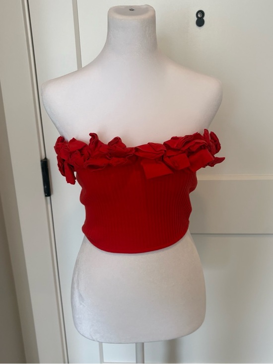Zara Tops - Zara Red Off-Shoulder Ruffle Crop Top